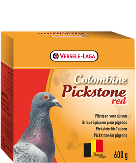 Pigeon Feed