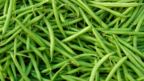 human food for your cat green beans