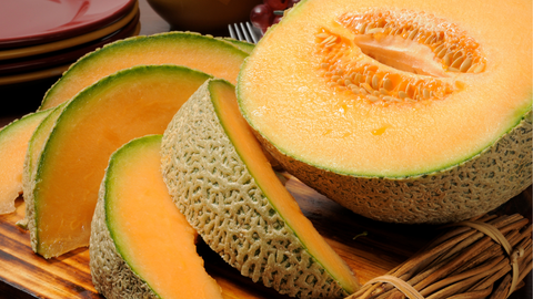 cantaloupe for dogs