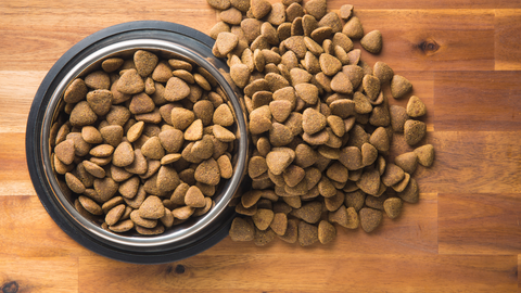 dog food and supplements