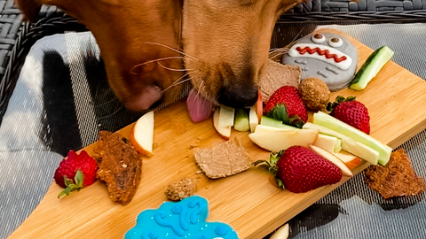 charcuterie board for your dog