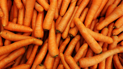 carrots for dogs