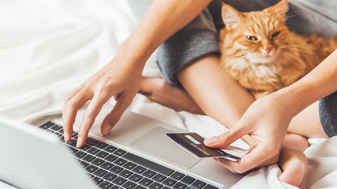cat with owner ordering supplements on computer