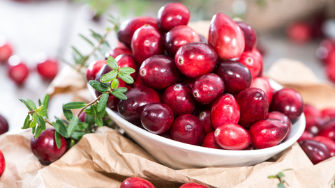 cranberries for you and your dogs health