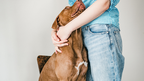 signs your dog has anxiety and how to treat it. Person hugging dog