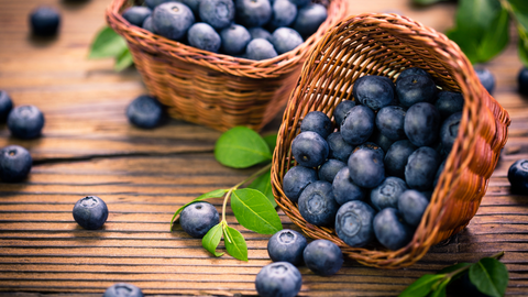 blueberries human food for cats