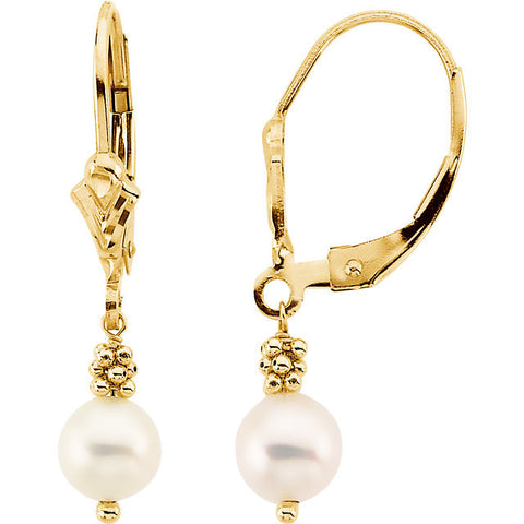 14K Yellow Gold Freshwater Pearl Leverback Earrings – Cailins | Fine ...