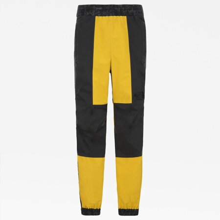 rain pants north face