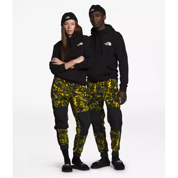 the north face rage pants