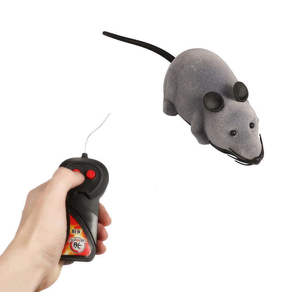 remote control mouse cat toy australia