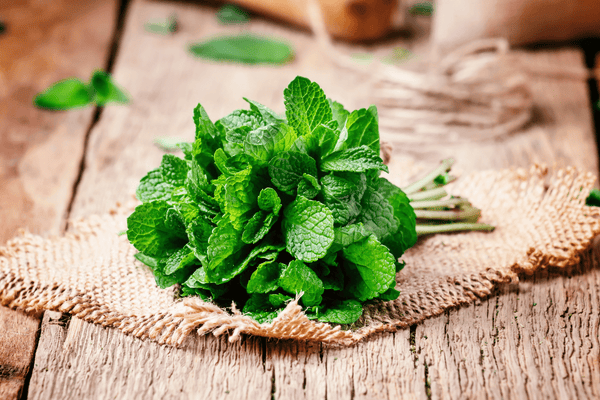 Mint Leaf on a table