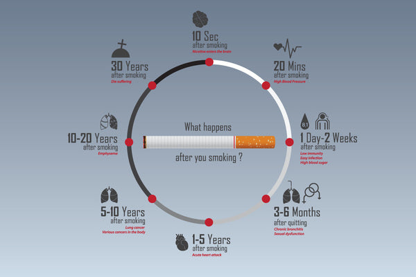 infographic that shows what happens when you quit smoking cigarettes