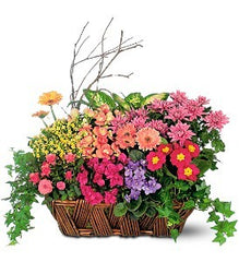 European Garden Basket