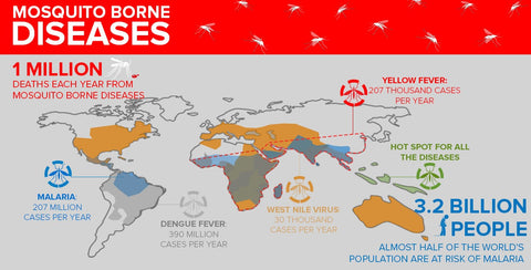 Mosquito Borne Disases