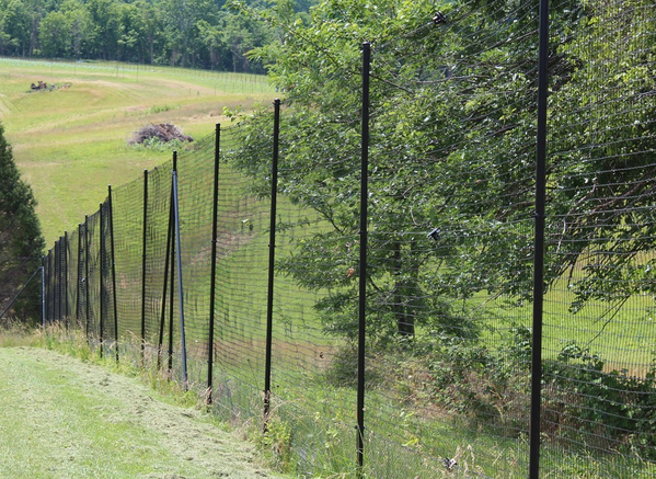 deer fence