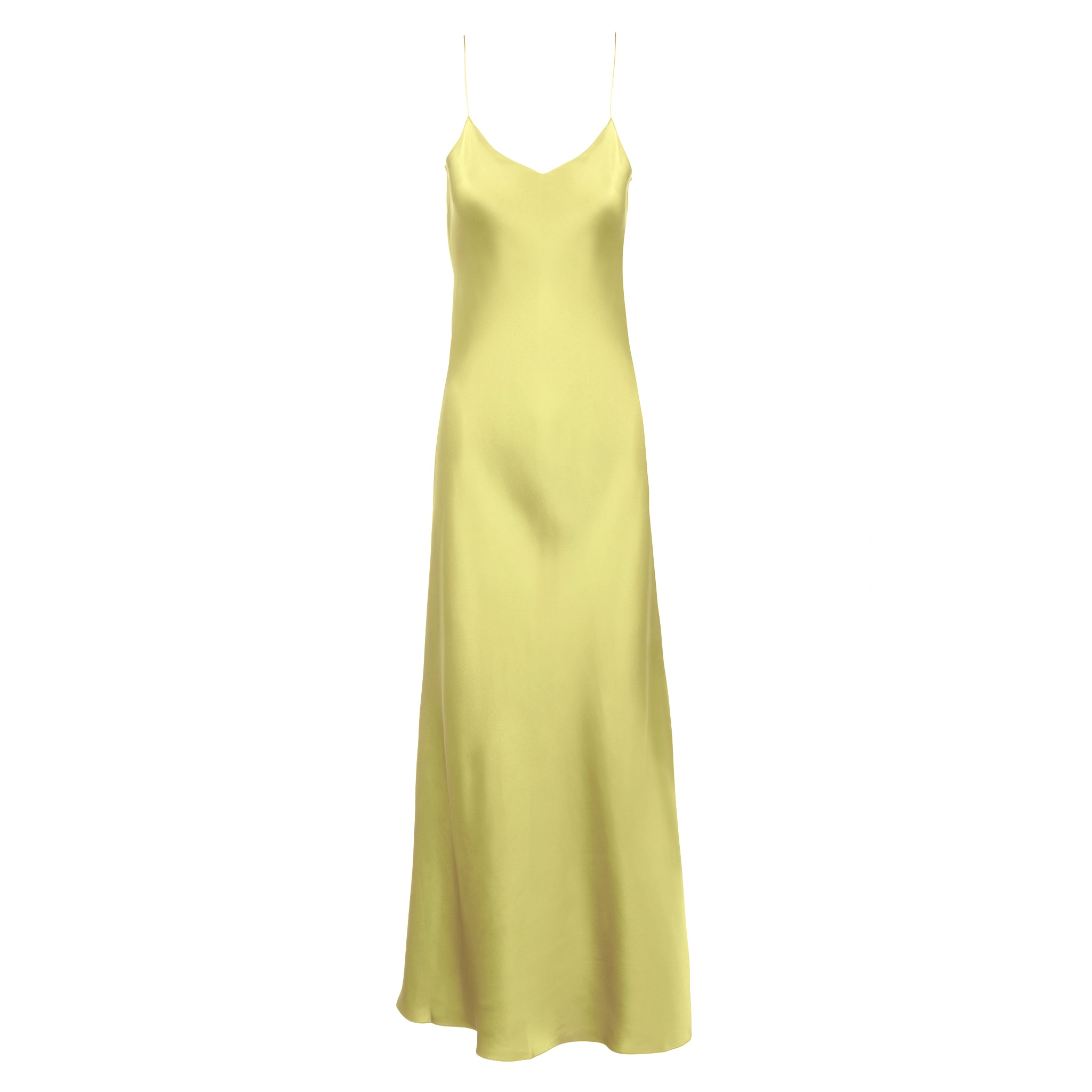 Limelight Maxi Slip Dress - Dannijo product image