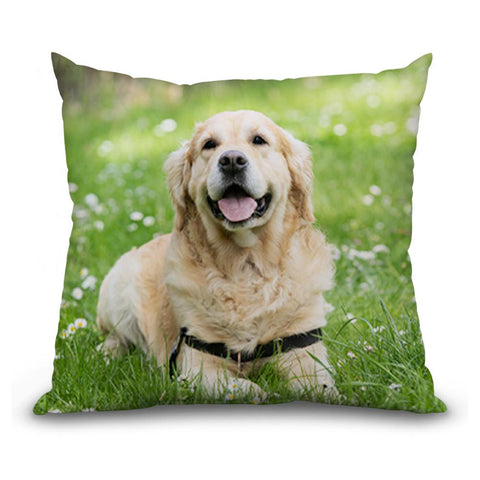 Black Lab Pillow, Dog Cushion, Labrador Retriever, Black Lab Gifts, Dog  Lover Gifts, Dog Throw Pillow 