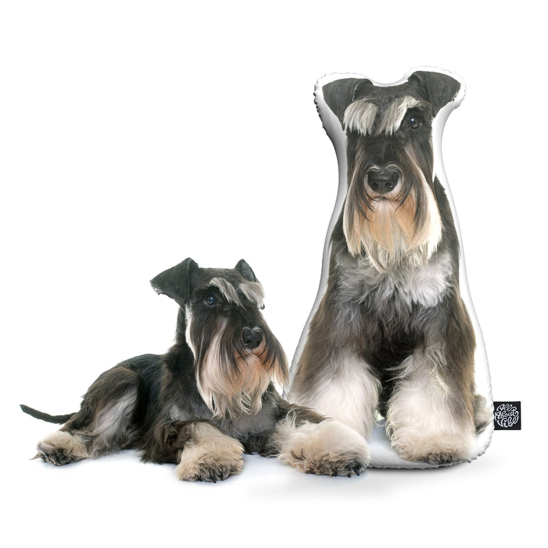 what is the background behind the schnauzer terriers