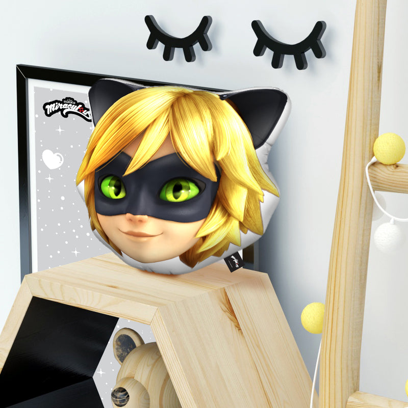 Cat Noir Head Throw Pillow By Miraculous All About Vibe