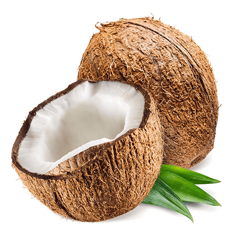 Coconut Carbon