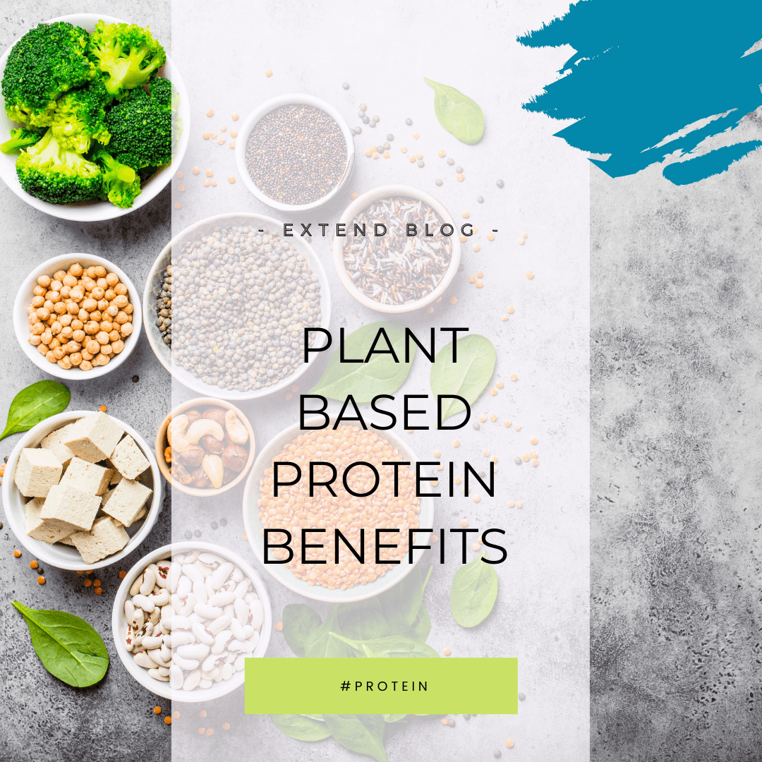 Plant Based Protein Benefits Extend Nutrition 4002