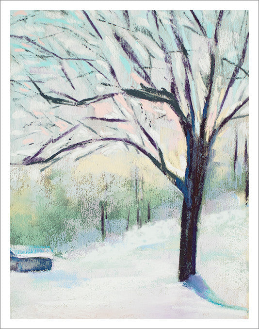 Pastel Painting Of Wren In Winter Stock Photo C Joyart 4180792