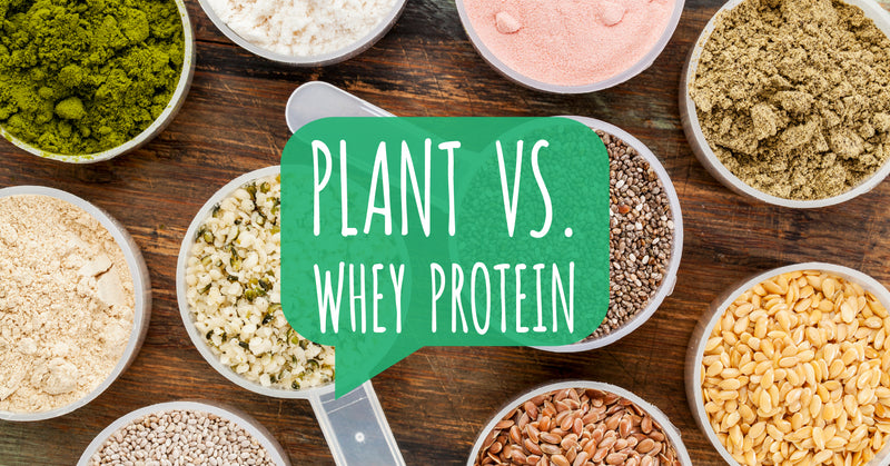 Plant Protein vs. Whey Protein - TRUTH NUTRITION