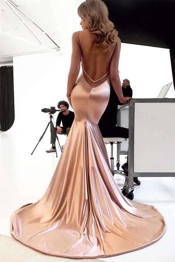 A-line V Neck Spaghetti Straps Open Back Blush Lace Long Prom Dresses –  Pgmdress