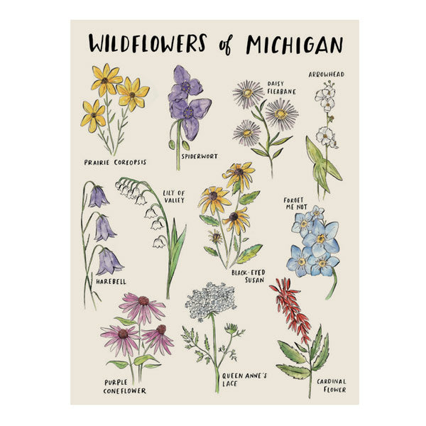 Wildflowers of Michigan Art Print