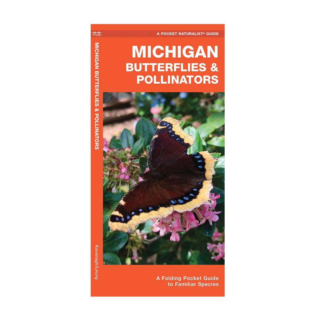 Michigan Butterflies & Pollinators