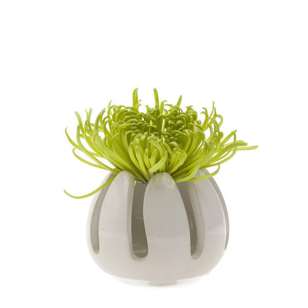 Ceramic Air Plant Holder - Gideon - Grassy