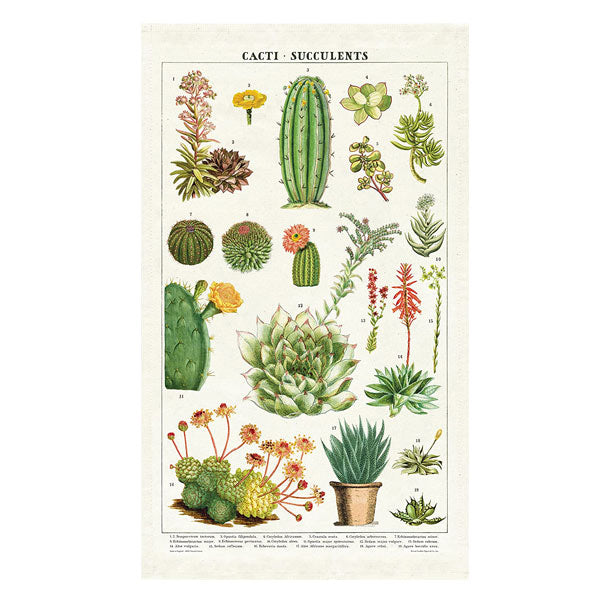 Succulents Tea Towel