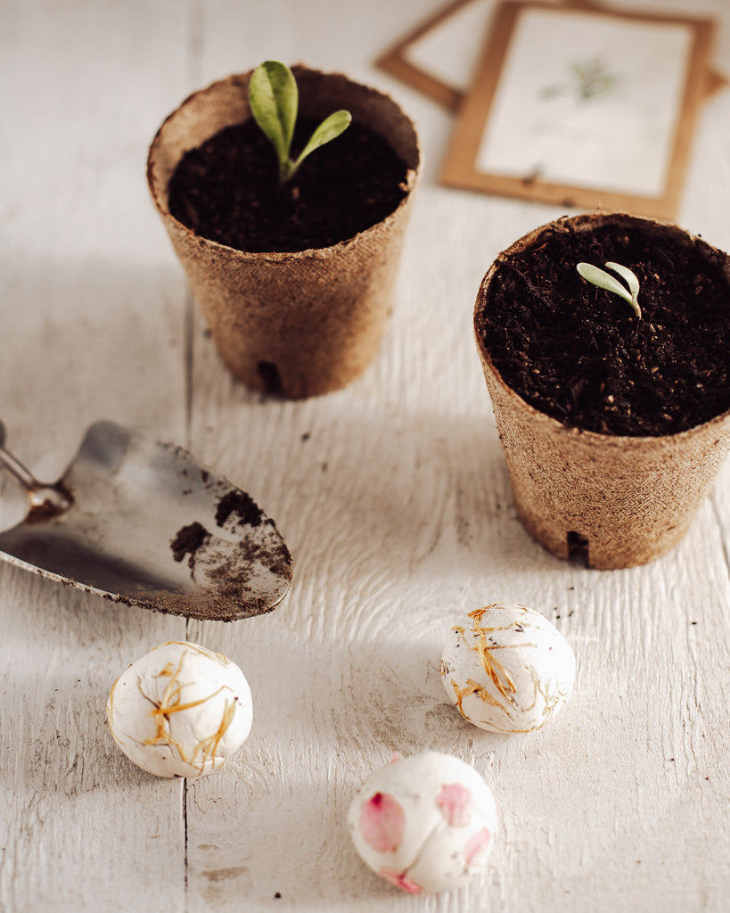 Flower Seed Bombs