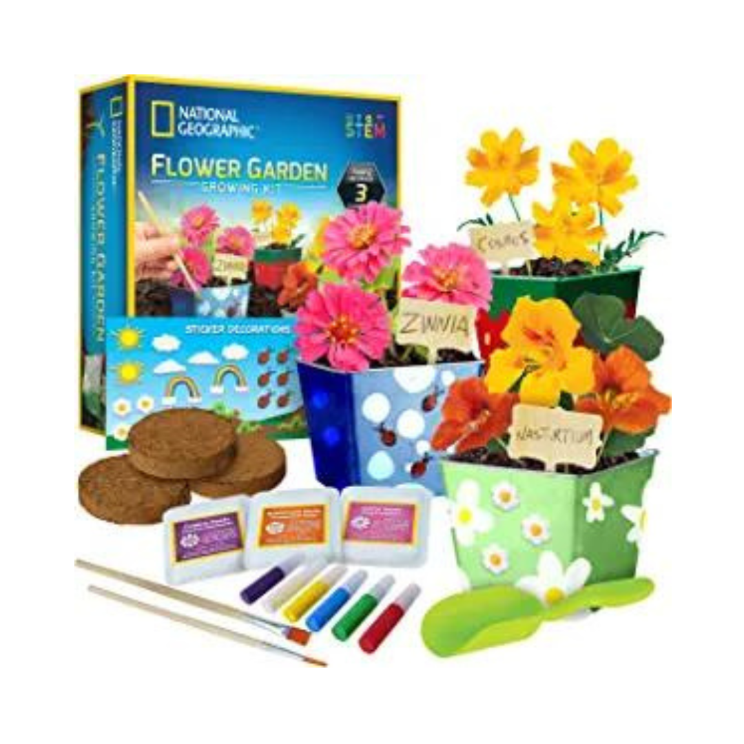 National Geographic Flower Growing Kit – PzDeals