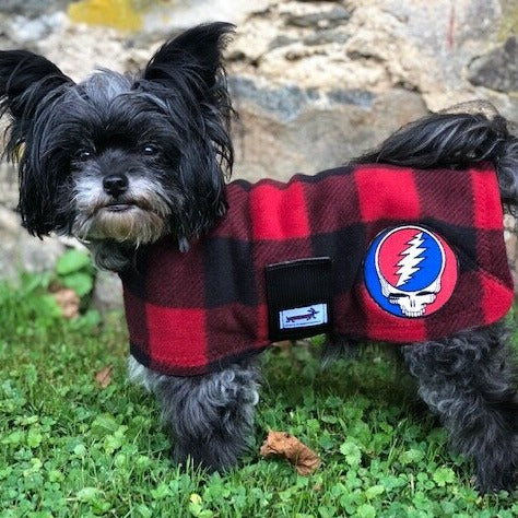 grateful dead dog clothes