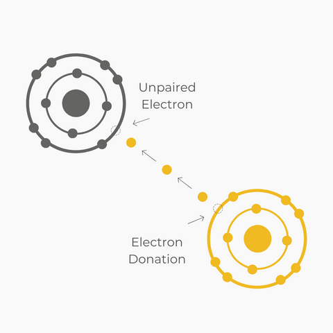 Unpaired Electrons donation