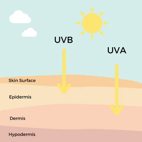 UVB vs UVA light and affects on skin