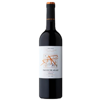 2019 Pagos de Araiz Navarra Crianza
