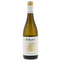 Valminor Albarino Screwcap 2023 12 Pack