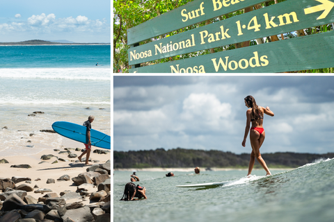 noosa heads longboarding 