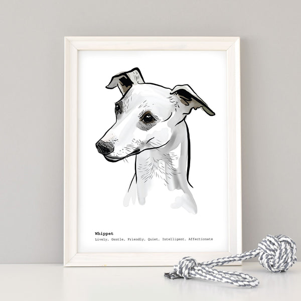 Scribble Print Studio Dog Breeds Whippet Art Print