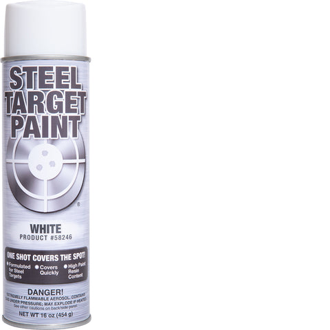 58246_White_Steel_Target_Paint_480x480.jpg