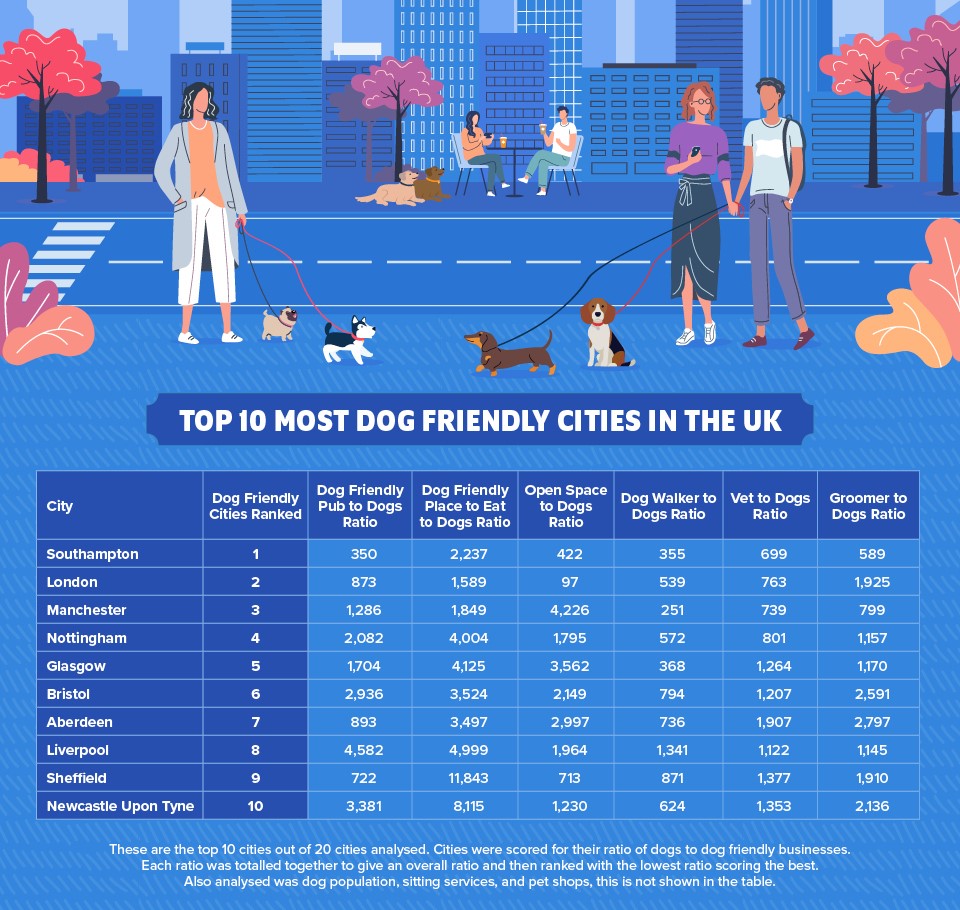 Top 10 Most Dog Friendly Cities In The UK