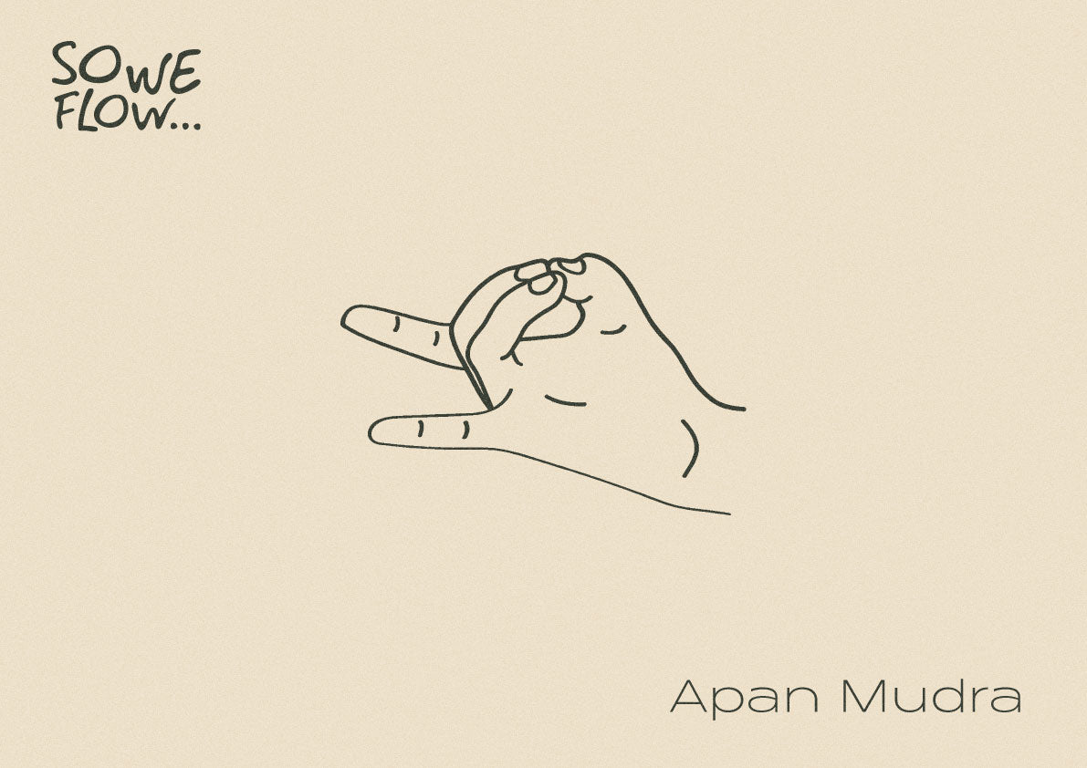 Illustration of Apan Mudra by So We Flow...