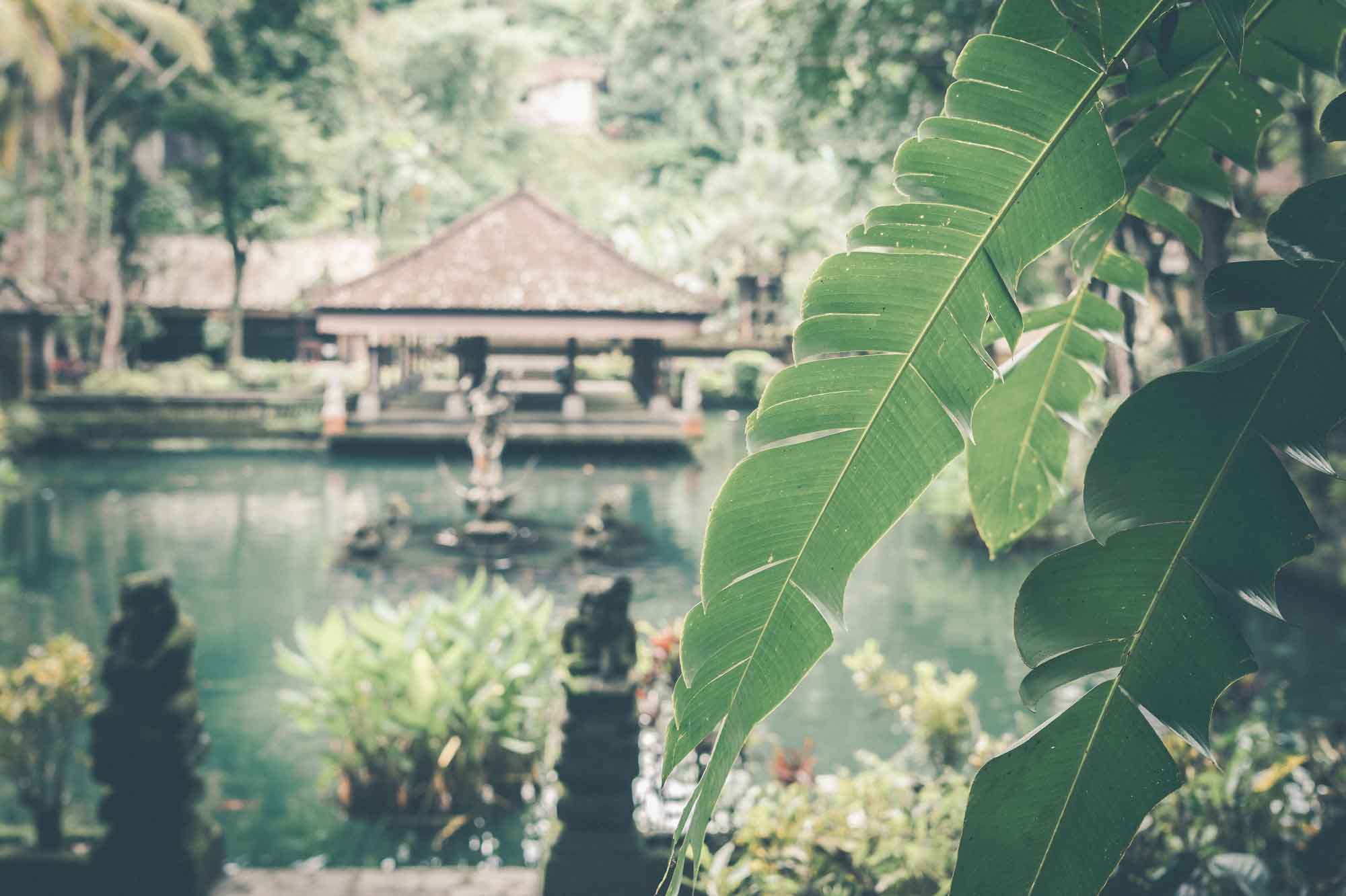 Yoga shala in jungle of Bali