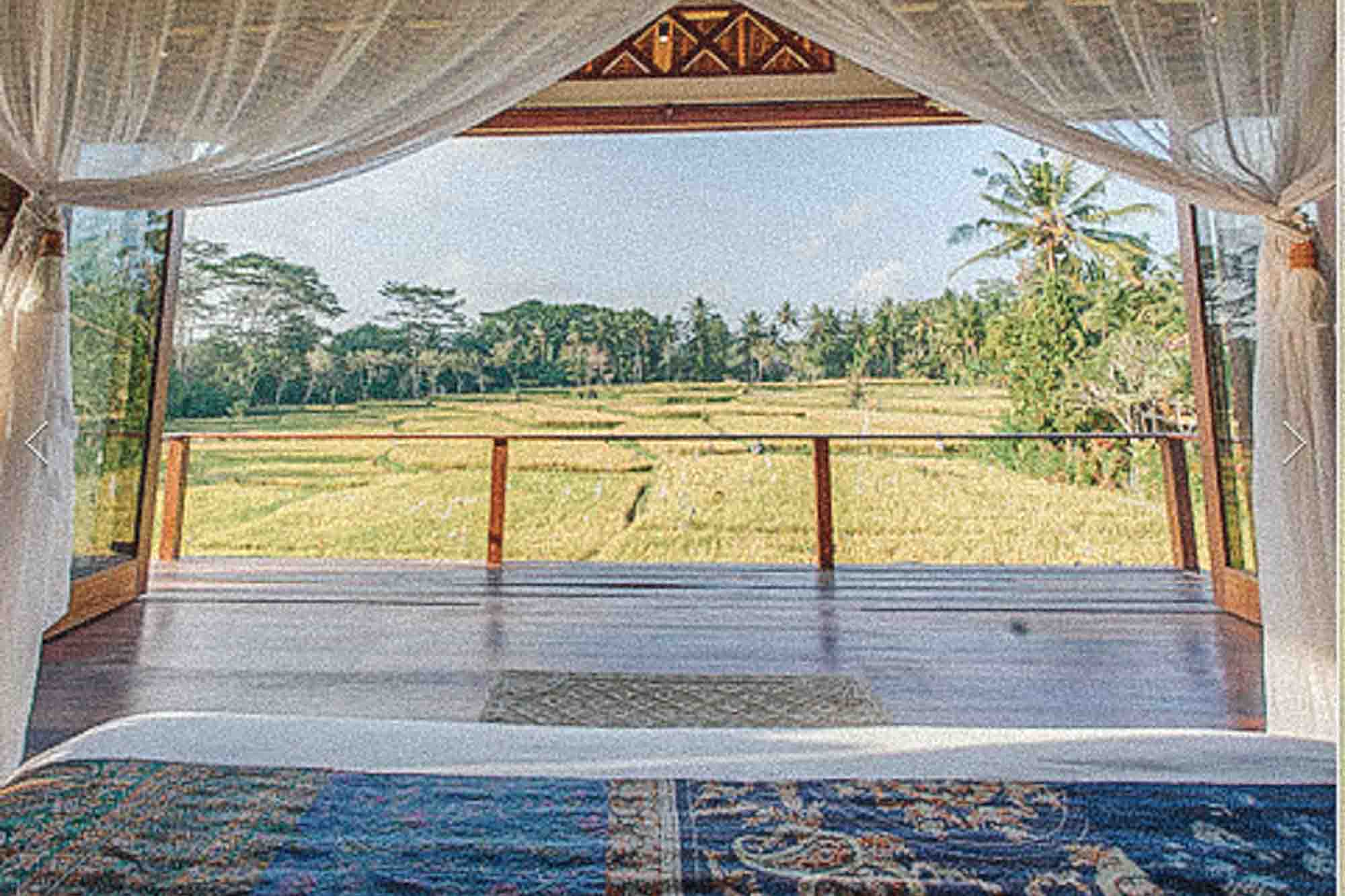 View from The Shala Bali of rice paddies