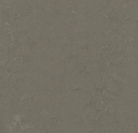 Forbo Furniture Linoleum 4164 Salsa Surfacing Material