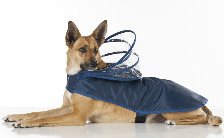 german shepherd raincoat