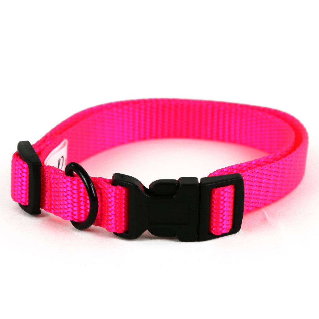 pink dog collar