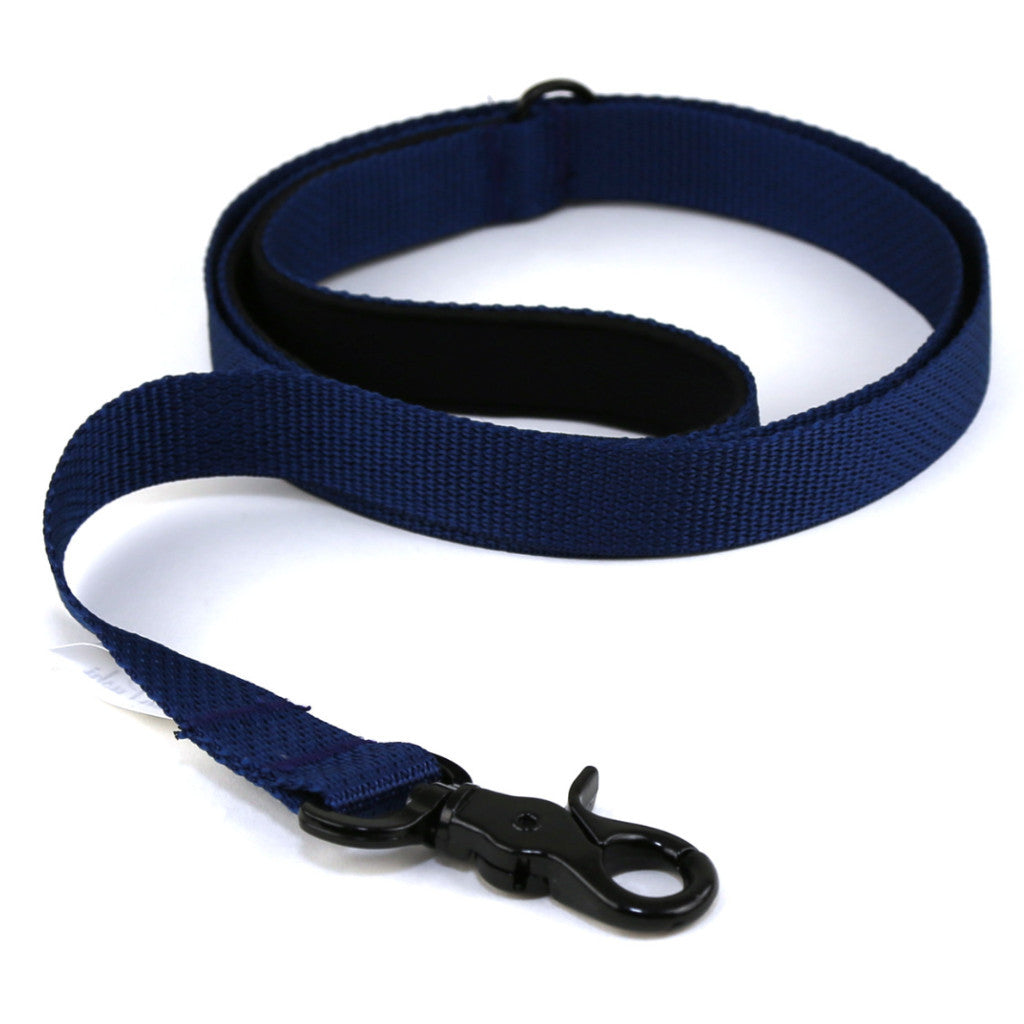 blue dog collar and leash